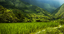 An image of a grassy mountain in Manila