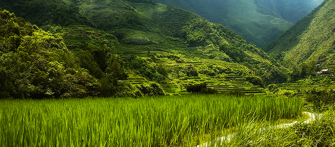 An image of a grassy mountain in Manila