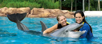 Discovery Cove