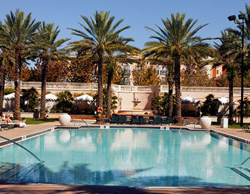 Loews Portofino Bay pool
