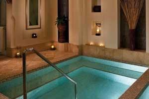 Plunge pool and spa