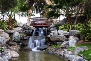 Lush gardens at JA Palm Tree Court