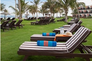 Sun loungers