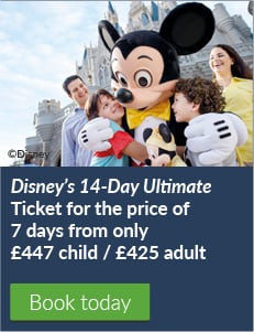 Disney 14 for 7 ticket