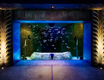 Atlantis The Palm 11