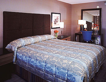 New York New York Las Vegas Accommodation