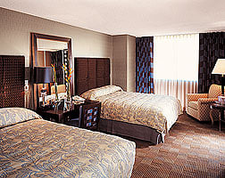 New York New York Las Vegas Accommodation 2